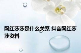 网红莎莎是什么关系 抖音网红莎莎资料 