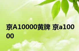 京A10000黄牌 京a10000 