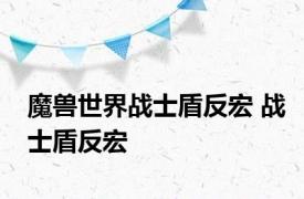 魔兽世界战士盾反宏 战士盾反宏 