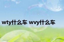 wty什么车 wvy什么车 