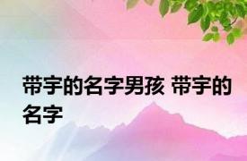 带宇的名字男孩 带宇的名字 