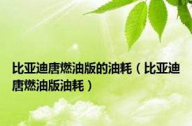 比亚迪唐燃油版的油耗（比亚迪唐燃油版油耗）