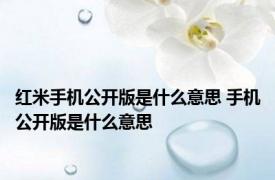 红米手机公开版是什么意思 手机公开版是什么意思