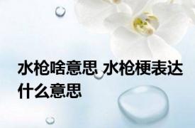 水枪啥意思 水枪梗表达什么意思