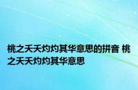 桃之夭夭灼灼其华意思的拼音 桃之夭夭灼灼其华意思 