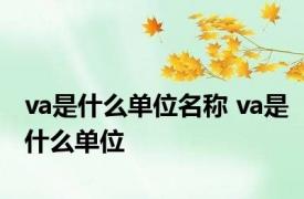 va是什么单位名称 va是什么单位 