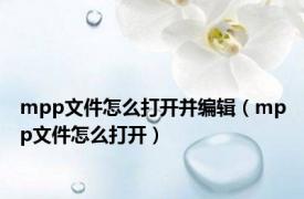 mpp文件怎么打开并编辑（mpp文件怎么打开）