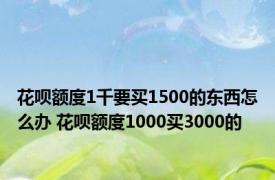 花呗额度1千要买1500的东西怎么办 花呗额度1000买3000的 