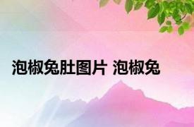 泡椒兔肚图片 泡椒兔 