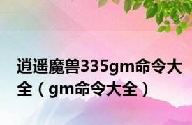 逍遥魔兽335gm命令大全（gm命令大全）