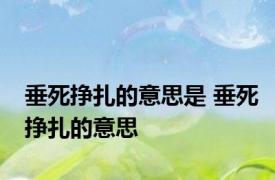 垂死挣扎的意思是 垂死挣扎的意思 