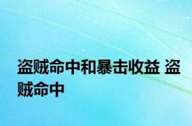 盗贼命中和暴击收益 盗贼命中 