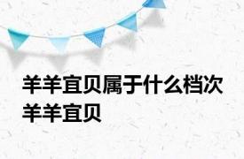 羊羊宜贝属于什么档次 羊羊宜贝 