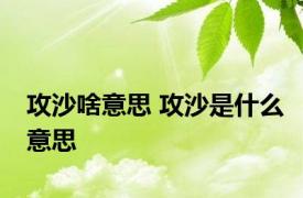 攻沙啥意思 攻沙是什么意思 