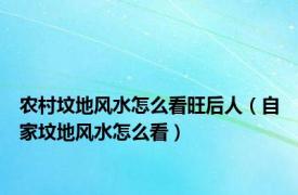 农村坟地风水怎么看旺后人（自家坟地风水怎么看）