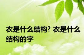 衣是什么结构? 衣是什么结构的字 