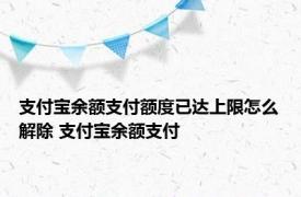 支付宝余额支付额度已达上限怎么解除 支付宝余额支付 