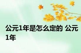 公元1年是怎么定的 公元1年 