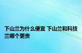 下山兰为什么便宜 下山兰和科技兰哪个更贵 