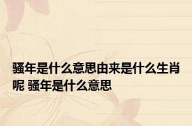 骚年是什么意思由来是什么生肖呢 骚年是什么意思 