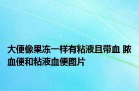 大便像果冻一样有粘液且带血 脓血便和粘液血便图片 