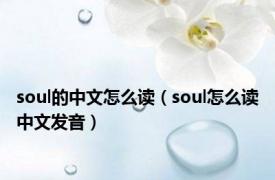 soul的中文怎么读（soul怎么读中文发音）