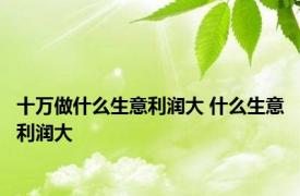 十万做什么生意利润大 什么生意利润大 