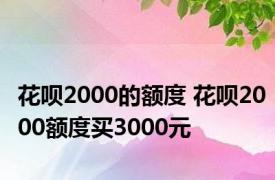 花呗2000的额度 花呗2000额度买3000元 