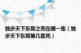 独步天下东哥之死在哪一集（独步天下东哥第几集死）