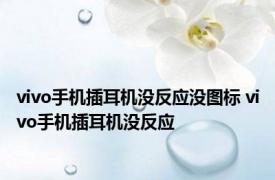 vivo手机插耳机没反应没图标 vivo手机插耳机没反应 