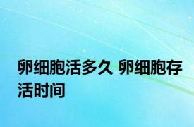 卵细胞活多久 卵细胞存活时间 