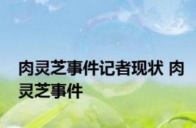 肉灵芝事件记者现状 肉灵芝事件 