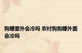 狗睡室外会冷吗 农村狗狗睡外面会冷吗