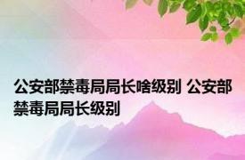 公安部禁毒局局长啥级别 公安部禁毒局局长级别 