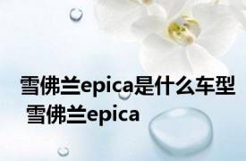 雪佛兰epica是什么车型 雪佛兰epica 