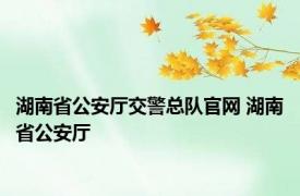 湖南省公安厅交警总队官网 湖南省公安厅 