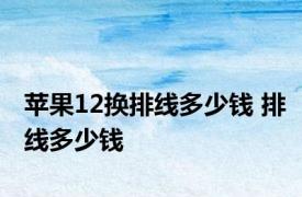 苹果12换排线多少钱 排线多少钱 