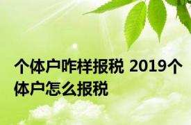 个体户咋样报税 2019个体户怎么报税 