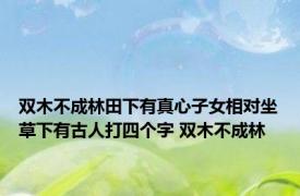 双木不成林田下有真心子女相对坐草下有古人打四个字 双木不成林 