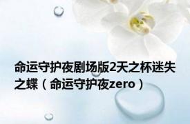 命运守护夜剧场版2天之杯迷失之蝶（命运守护夜zero）