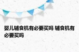 婴儿辅食机有必要买吗 辅食机有必要买吗 