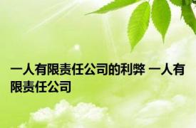 一人有限责任公司的利弊 一人有限责任公司 