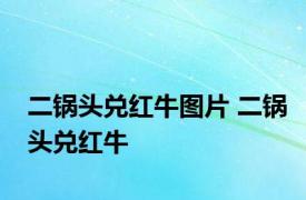 二锅头兑红牛图片 二锅头兑红牛 