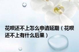 花呗还不上怎么申请延期（花呗还不上有什么后果）