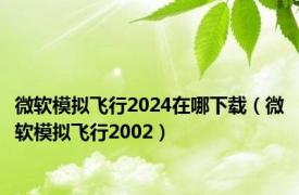 微软模拟飞行2024在哪下载（微软模拟飞行2002）