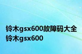 铃木gsx600故障码大全 铃木gsx600 