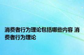 消费者行为理论包括哪些内容 消费者行为理论 