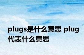 plugs是什么意思 plug代表什么意思