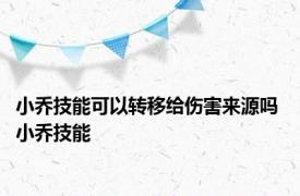 小乔技能可以转移给伤害来源吗 小乔技能 