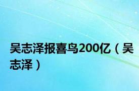 吴志泽报喜鸟200亿（吴志泽）